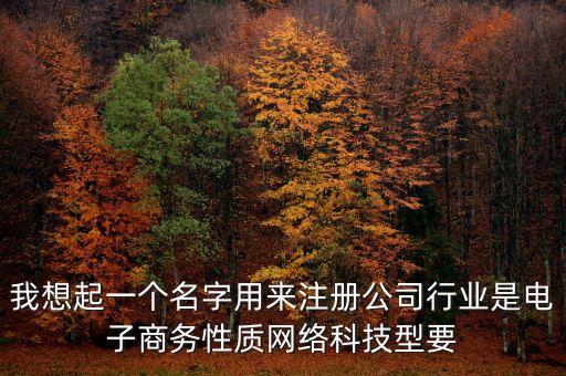 我想起一個(gè)名字用來(lái)注冊(cè)公司行業(yè)是電子商務(wù)性質(zhì)網(wǎng)絡(luò)科技型要