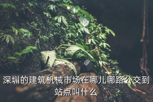深圳的建筑機(jī)械市場在哪兒哪路公交到站點(diǎn)叫什么
