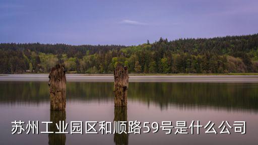 蘇州工業(yè)園區(qū)和順路59號是什么公司