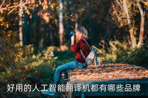 人工智能設備有哪些品牌的，好用的人工智能翻譯機都有哪些品牌