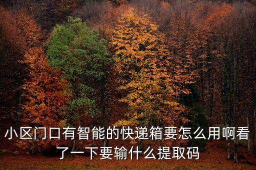 小區(qū)門口有智能的快遞箱要怎么用啊看了一下要輸什么提取碼