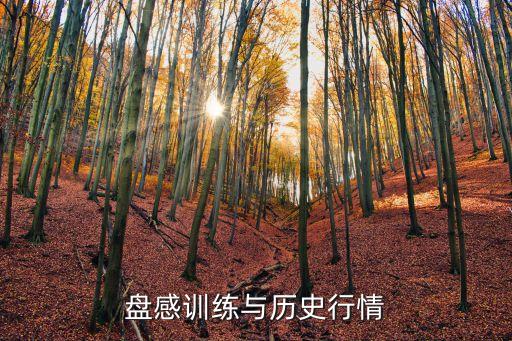 華自科技股票歷史交易數據，盤感訓練與歷史行情