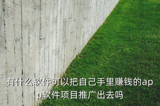 有什么軟件可以把自己手里賺錢的app軟件項(xiàng)目推廣出去嗎