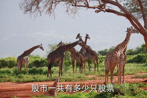 股市一共有多少只股票