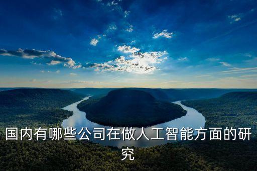 國內(nèi)有哪些公司在做人工智能方面的研究