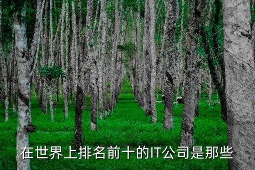 在世界上排名前十的IT公司是那些
