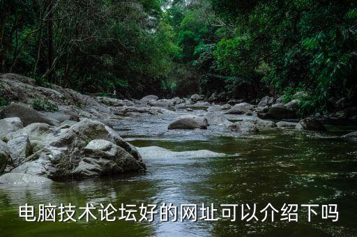 電腦技術論壇好的網(wǎng)址可以介紹下嗎