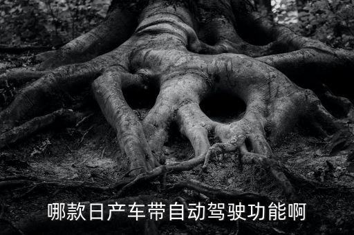 哪些車有自動(dòng)駕駛功能較好的車型，哪些車可以自動(dòng)駕駛