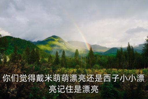 深圳市戴米萌萌科技有限公司，你們覺得戴米萌萌漂亮還是西子小小漂亮記住是漂亮