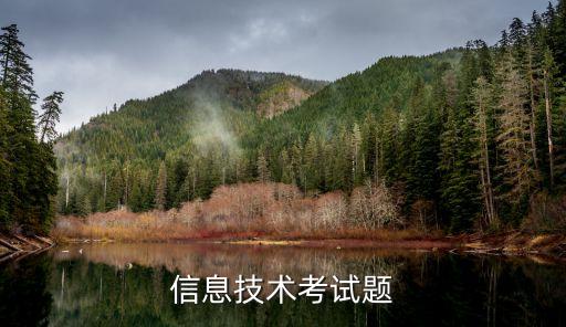 信息技術(shù)考試試題庫及答案，信息技術(shù)考試題