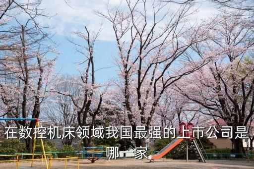 數(shù)控機(jī)床龍頭上市公司，在數(shù)控機(jī)床領(lǐng)域我國最強(qiáng)的上市公司是哪一家