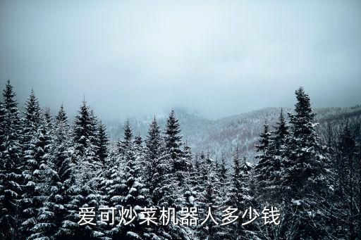 愛可炒菜機器人多少錢