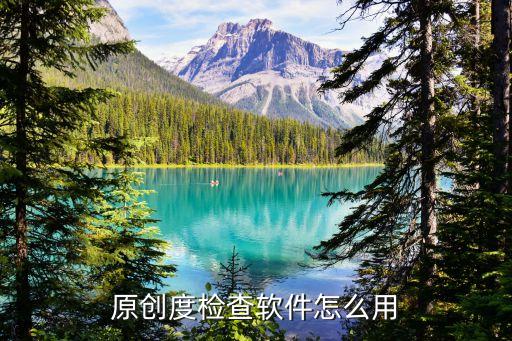 原創(chuàng)度檢查軟件怎么用