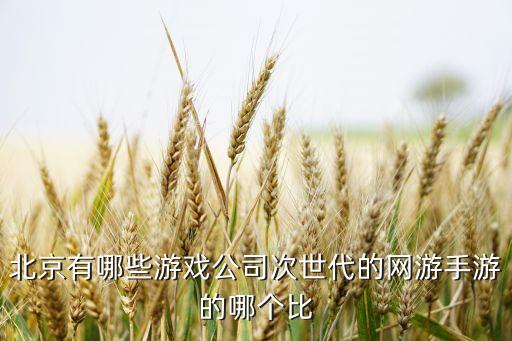 北京游戲公司，請(qǐng)問北京的游戲公司有哪些好的呢