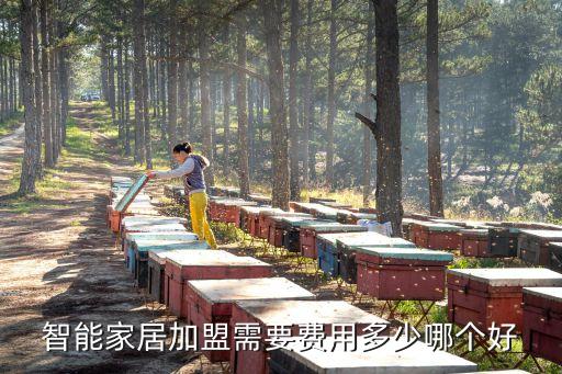 智能家居代理加盟計算機，武漢智能家居智能家居控制系統(tǒng) 智能控制系統(tǒng)最專業(yè)的是哪家公司
