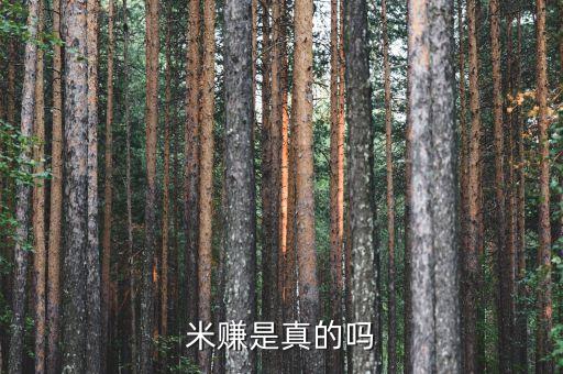 米賺是真的嗎