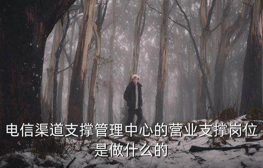 支撐崗是做什么的，中國(guó)移動(dòng)網(wǎng)絡(luò)運(yùn)行支撐崗職業(yè)是干什么的