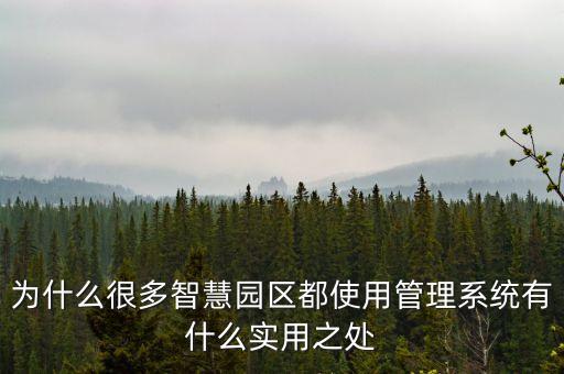 為什么很多智慧園區(qū)都使用管理系統(tǒng)有什么實(shí)用之處
