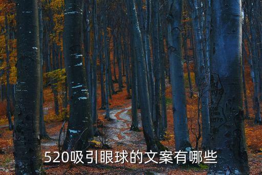 520吸引眼球的文案有哪些