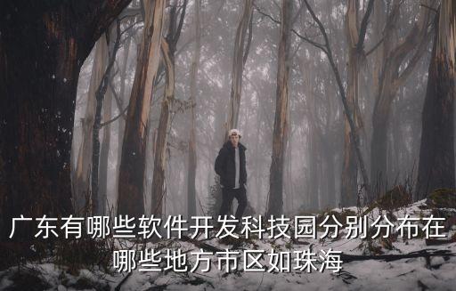 廣東有哪些軟件開發(fā)科技園分別分布在哪些地方市區(qū)如珠海