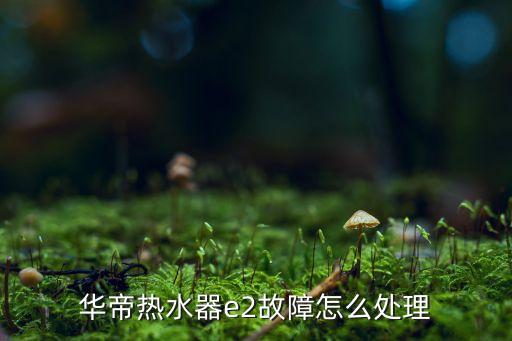 華為iateey故障E2，華帝熱水器e2故障怎么處理