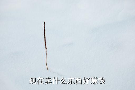 現(xiàn)在賣什么東西好賺錢