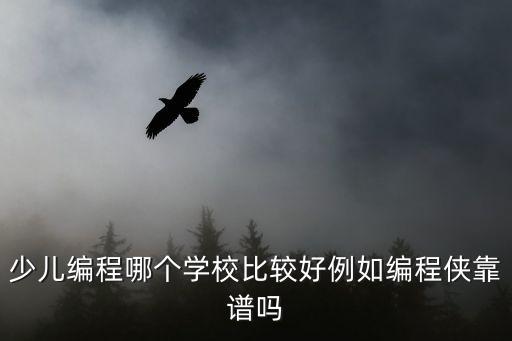 中國最好的少兒編程培訓機構(gòu)，在兒童編程機構(gòu)里哪家機構(gòu)比較好