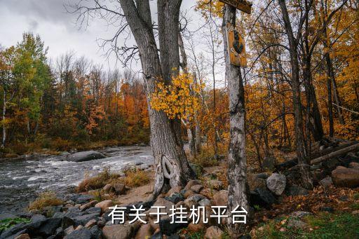 有關(guān)于掛機平臺