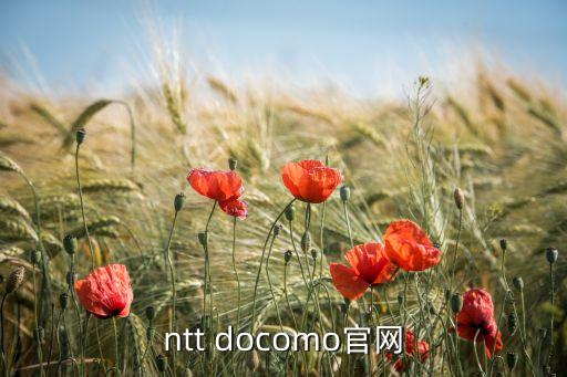 允昌卡盟官網(wǎng)，ntt docomo官網(wǎng)