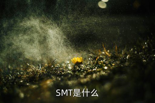 SMT是什么