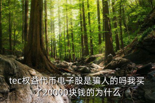 tec權(quán)益代幣電子股是騙人的嗎我買了20000塊錢的為什么