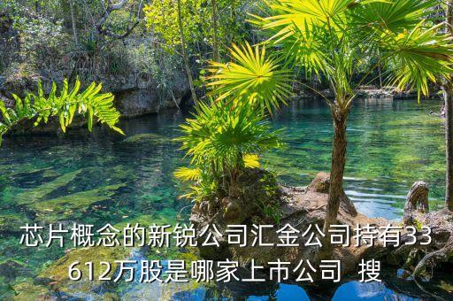 芯片概念的新銳公司匯金公司持有33612萬股是哪家上市公司  搜