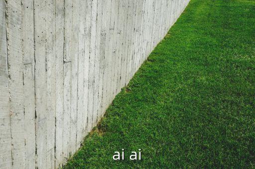 ai ai