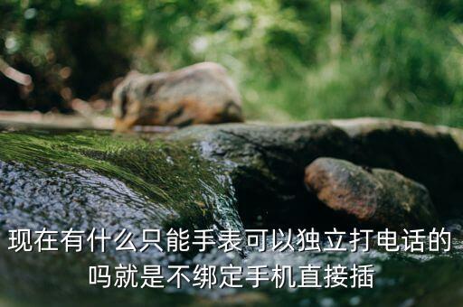 現(xiàn)在有什么只能手表可以獨(dú)立打電話的嗎就是不綁定手機(jī)直接插