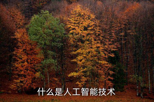 什么是人工智能技術(shù)