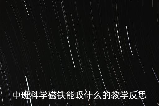 中班科學磁鐵能吸什么的教學反思