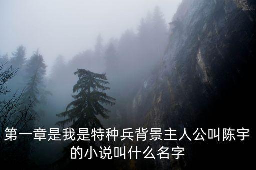 都市之科技之門免費(fèi)閱讀陳宇，找本都市小說(shuō)主人公叫陳宇
