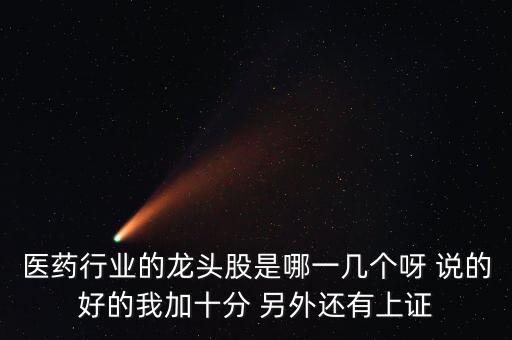 醫(yī)藥行業(yè)的龍頭股是哪一幾個呀 說的好的我加十分 另外還有上證