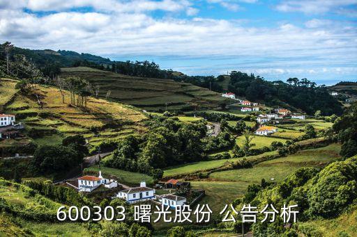 600303 曙光股份 公告分析