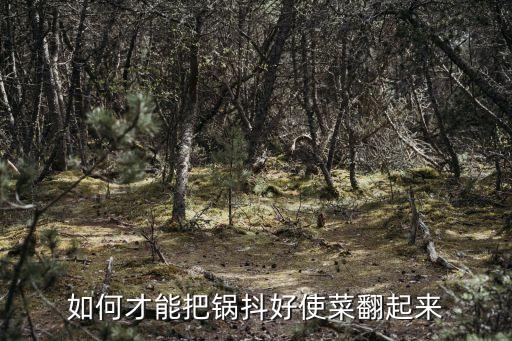 如何才能把鍋抖好使菜翻起來(lái)
