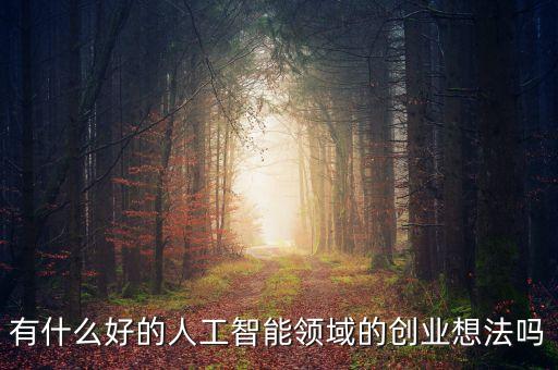 有什么好的人工智能領(lǐng)域的創(chuàng)業(yè)想法嗎