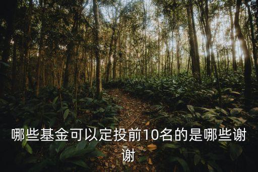 哪些基金可以定投前10名的是哪些謝謝