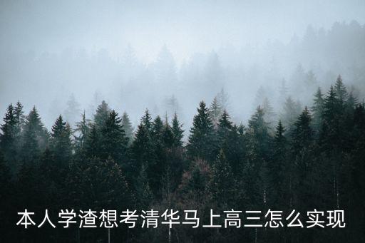 本人學(xué)渣想考清華馬上高三怎么實(shí)現(xiàn)