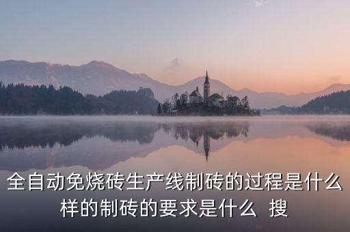 全自動(dòng)免燒磚生產(chǎn)線制磚的過(guò)程是什么樣的制磚的要求是什么  搜