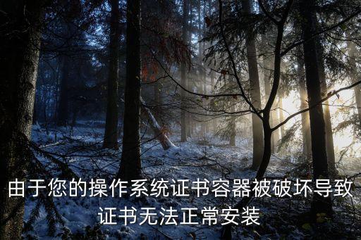 由于您的操作系統(tǒng)證書容器被破壞導(dǎo)致證書無(wú)法正常安裝