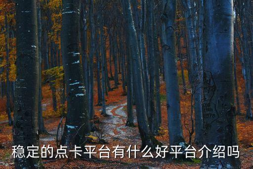 穩(wěn)定的點卡平臺有什么好平臺介紹嗎