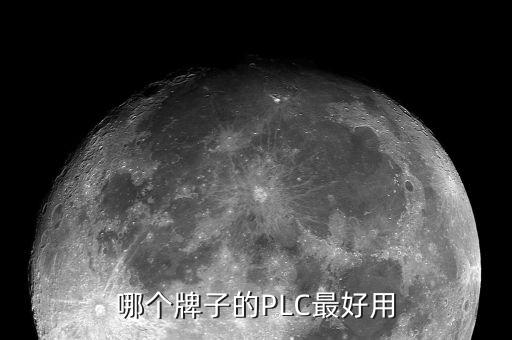 哪個(gè)牌子的PLC最好用