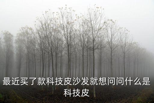 最近買了款科技皮沙發(fā)就想問問什么是科技皮