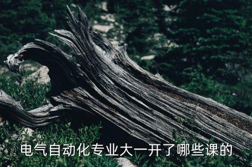 電氣自動(dòng)化專業(yè)大一開了哪些課的