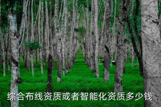 綜合布線資質(zhì)或者智能化資質(zhì)多少錢